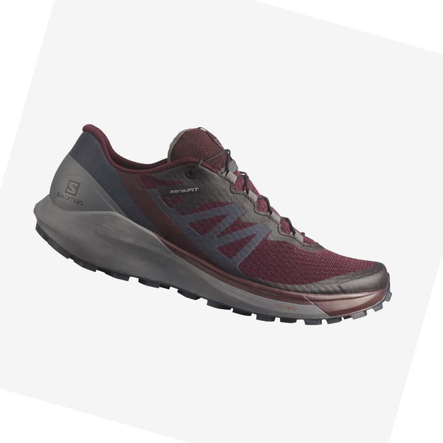 Tenis Para Trail Running Salomon SENSE RIDE 4 Mujer Morados | MX 2749KOR